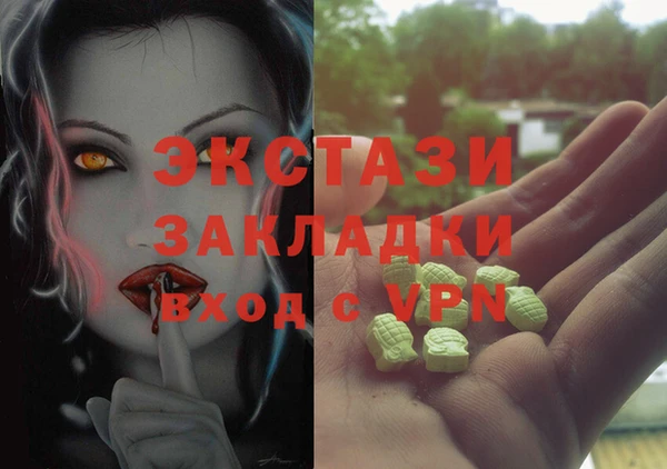 ECSTASY Алзамай